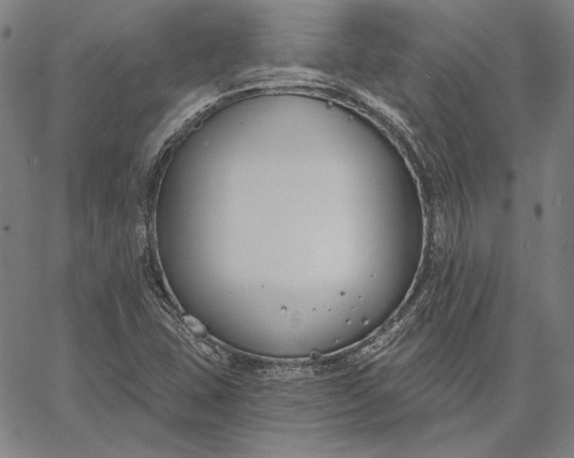 X0000067331407200604131649