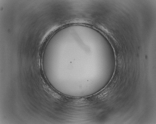 X0000067331408200604131649