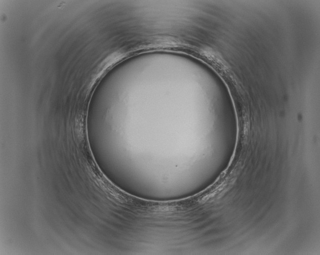 X0000067331409200604131649