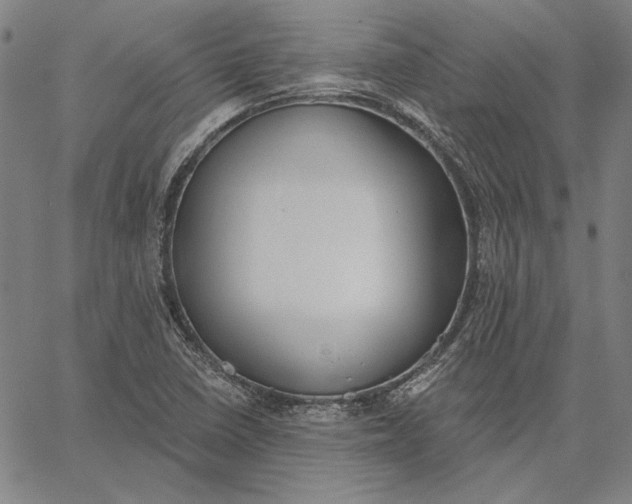 X0000067331410200604131649