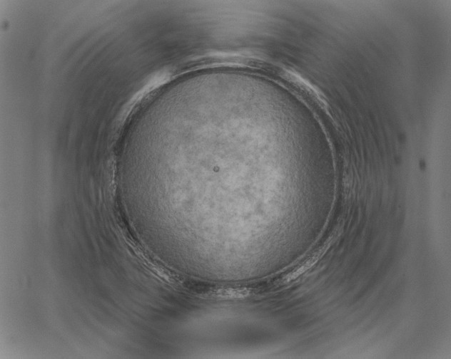 X0000067331411200604131649