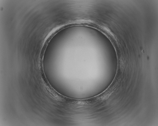 X0000067331412200604131649