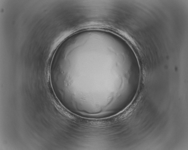 X0000067331413200604131649