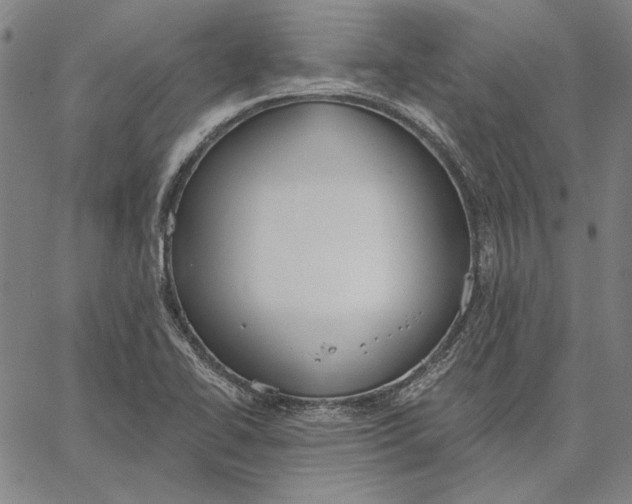 X0000067331414200604131649