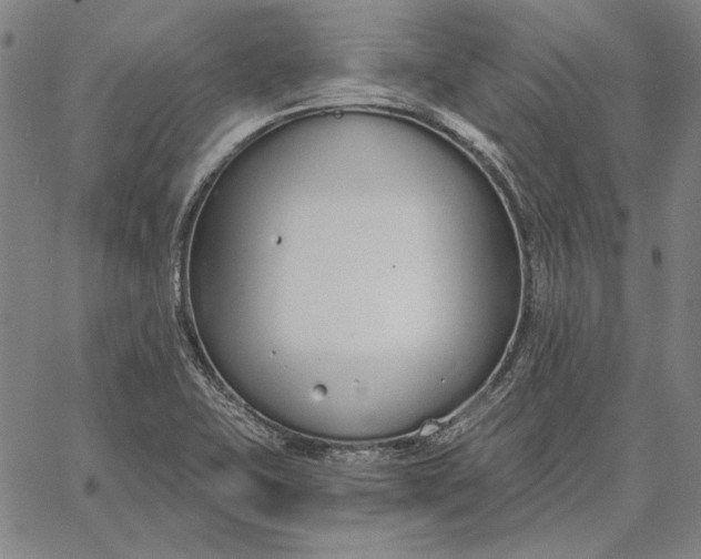 X0000067331415200604131649