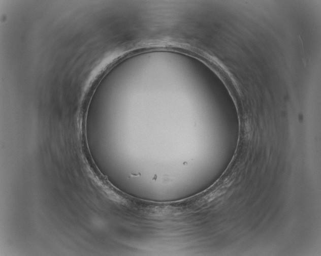 X0000067331416200604131649