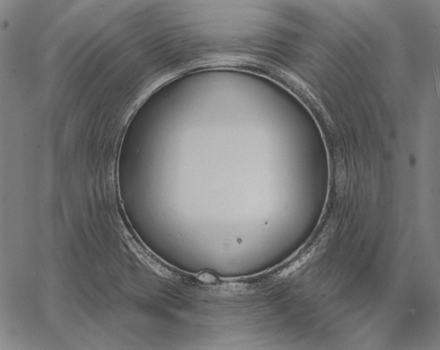 X0000067331417200604131649