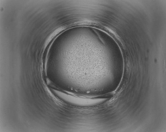 X0000067331418200604131649