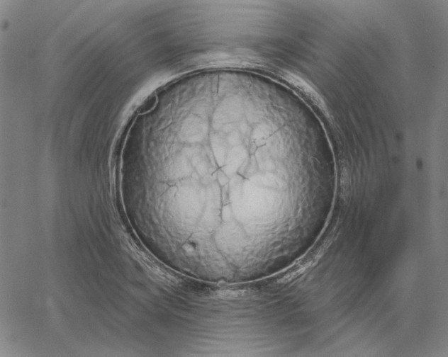 X0000067331419200604131649