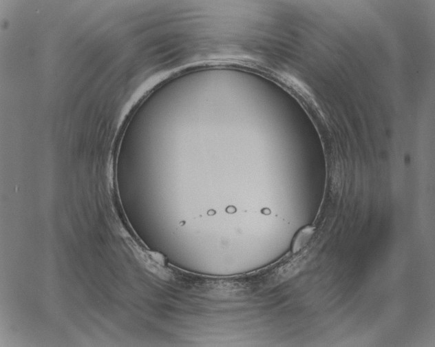 X0000067331420200604131649