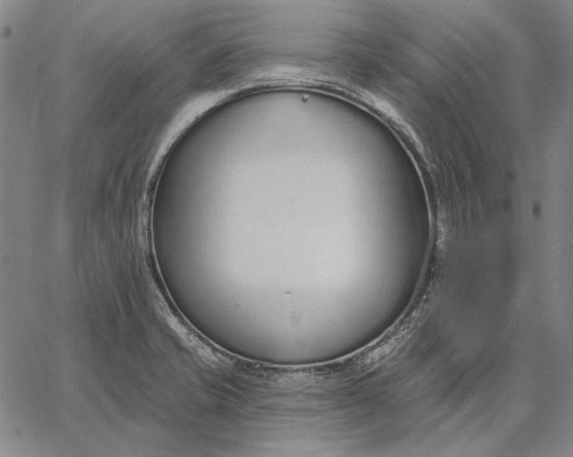 X0000067331421200604131649