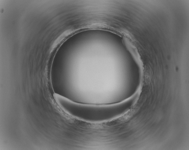 X0000067331422200604131649