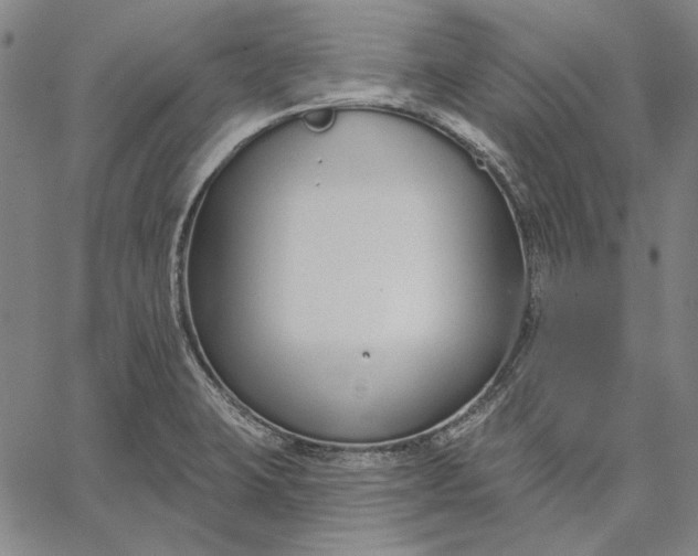 X0000067331423200604131649