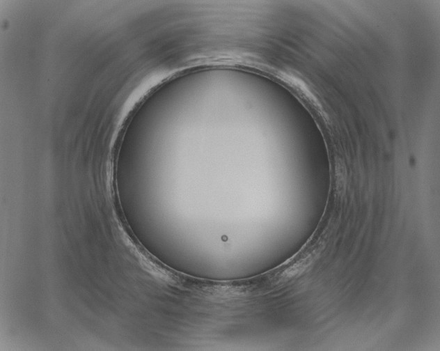 X0000067331424200604131649