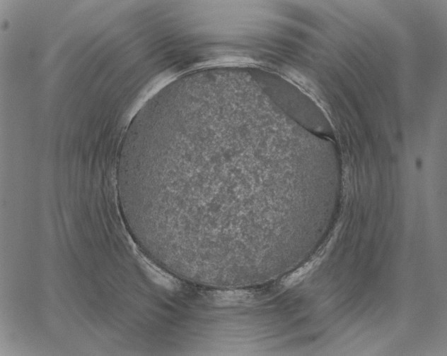 X0000067331425200604131649