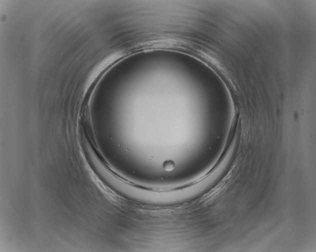 X0000067331426200604131649