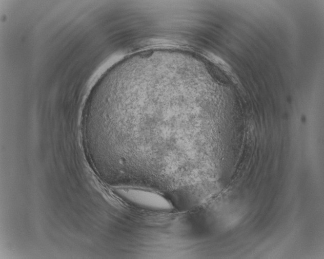 X0000067331427200604131649