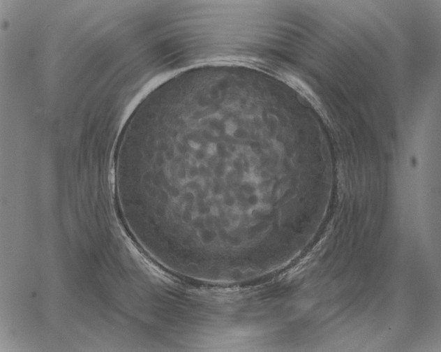 X0000067331428200604131649