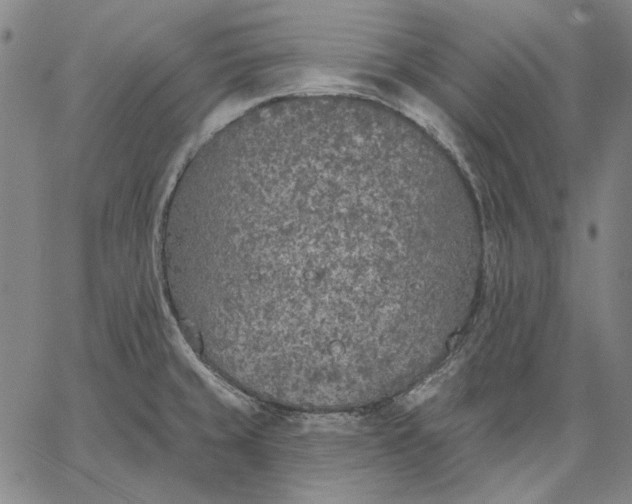 X0000067331429200604131649