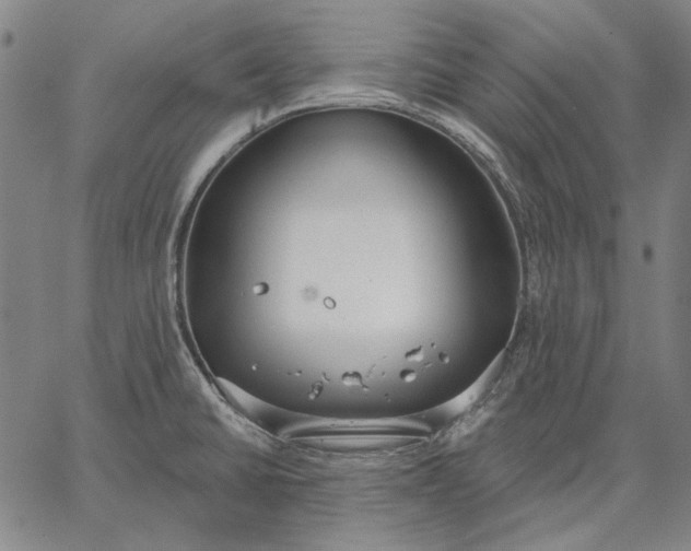 X0000067331430200604131649