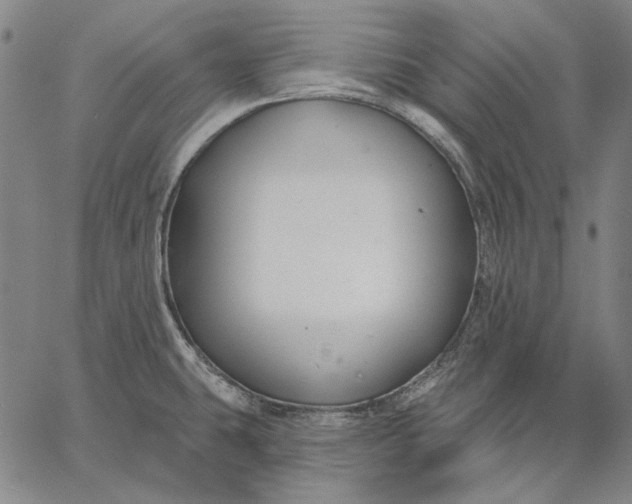 X0000067331431200604131649