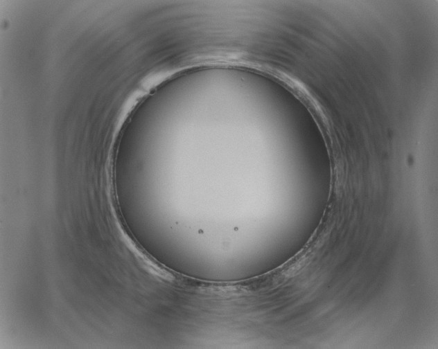 X0000067331432200604131649