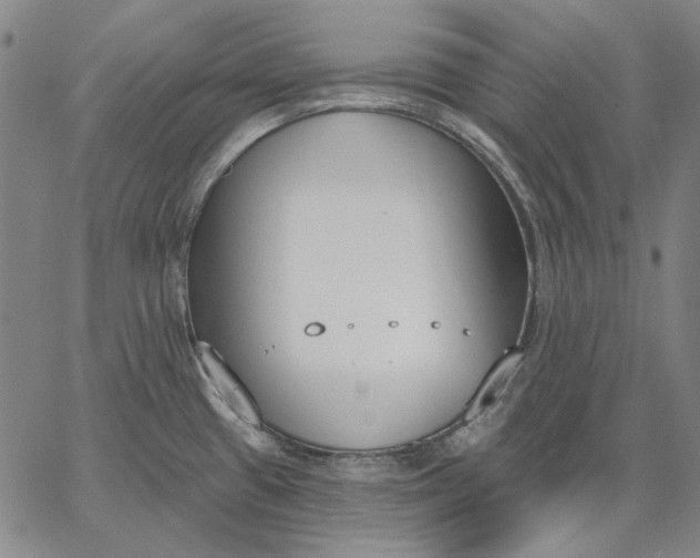 X0000067331433200604131649