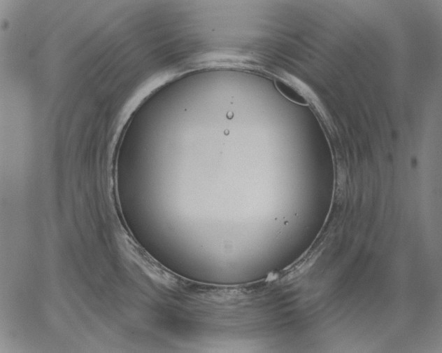 X0000067331435200604131649