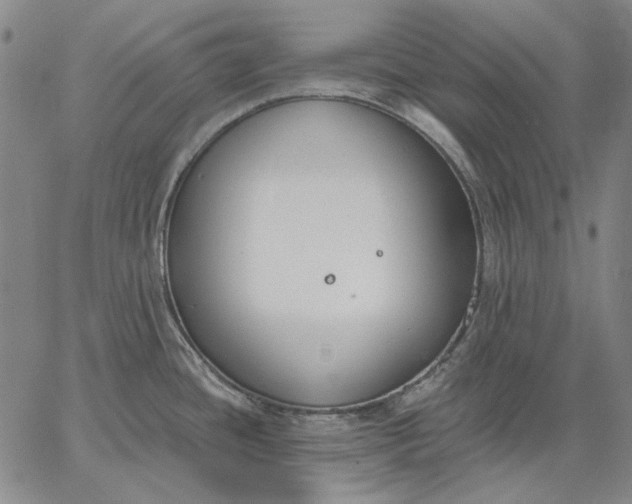 X0000067331436200604131649