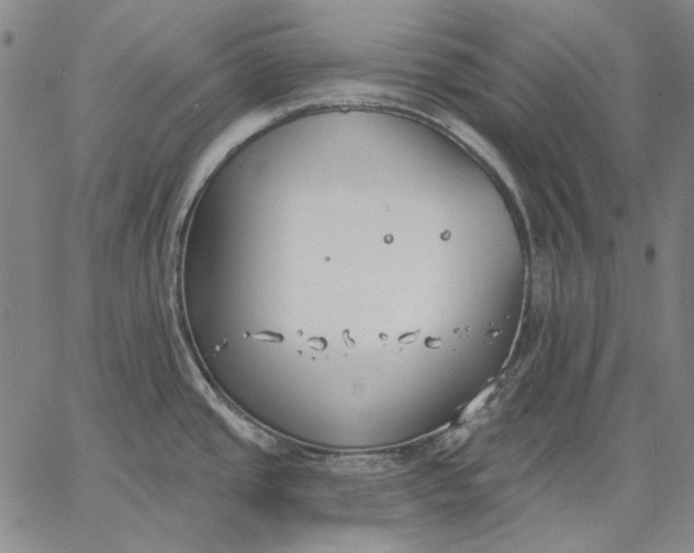 X0000067331437200604131649