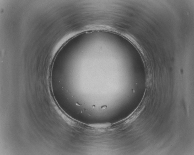 X0000067331438200604131649