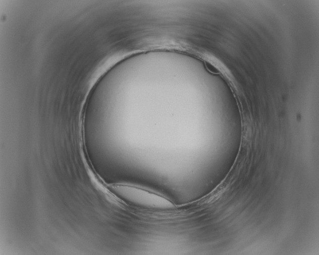 X0000067331439200604131649