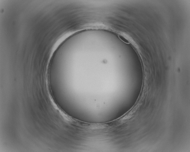 X0000067331440200604131649