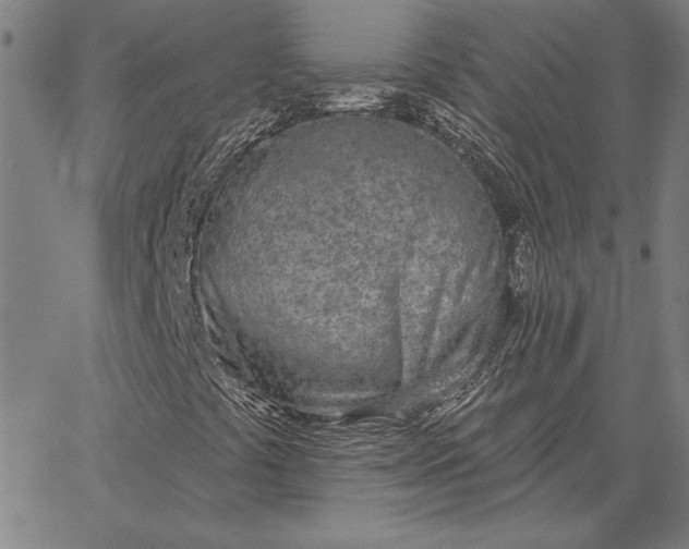 X0000067331441200604131649