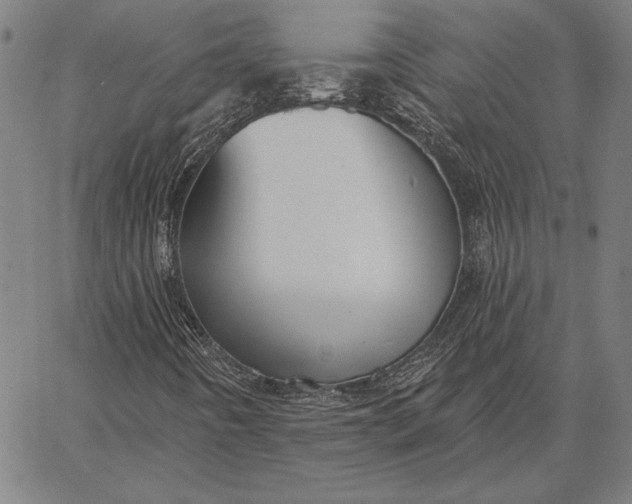 X0000067331442200604131649