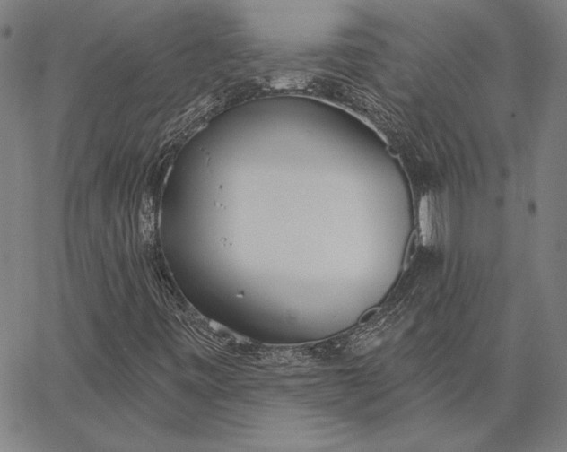 X0000067331443200604131649