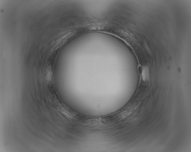 X0000067331444200604131649