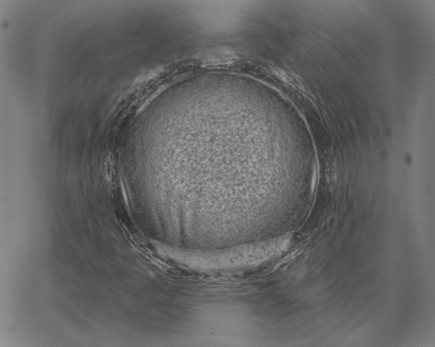 X0000067331445200604131649