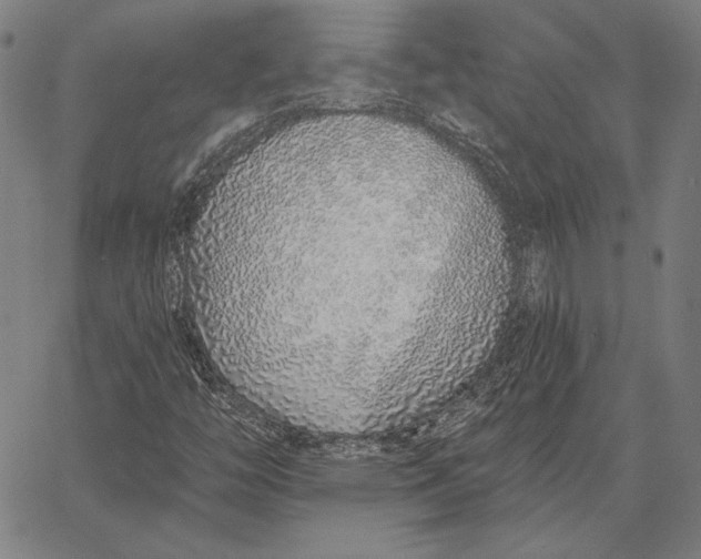 X0000067331446200604131649