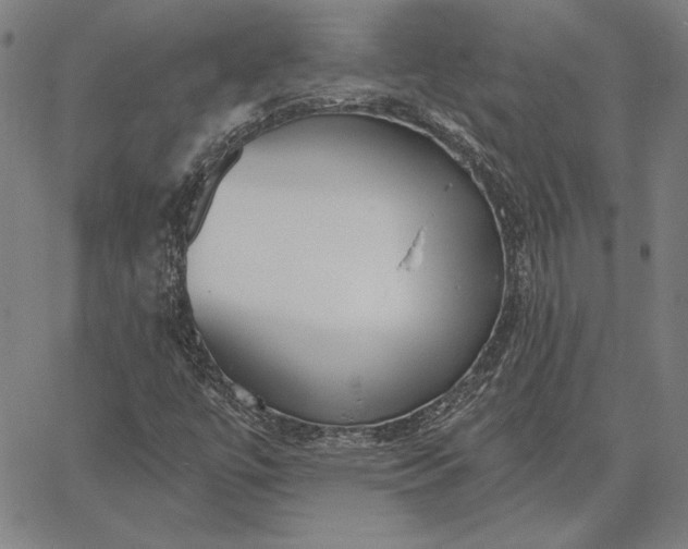 X0000067331447200604131649