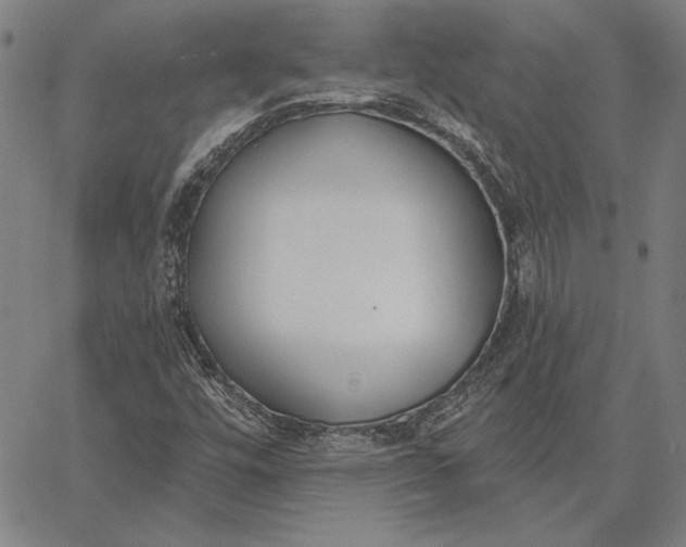 X0000067331448200604131649