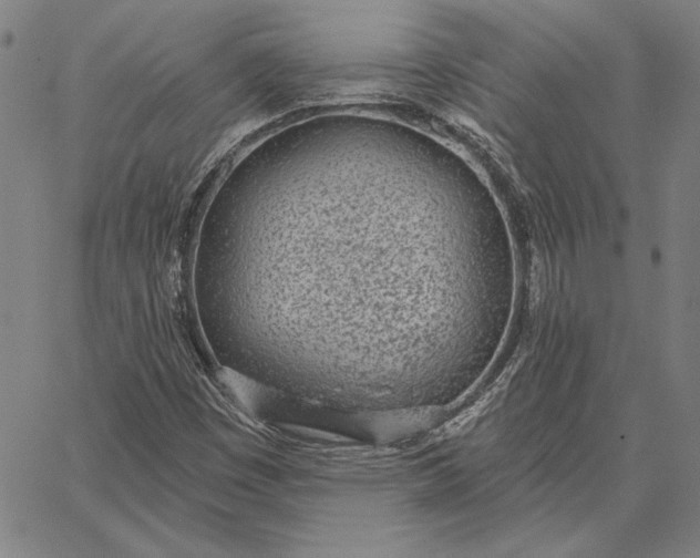 X0000067331449200604131649