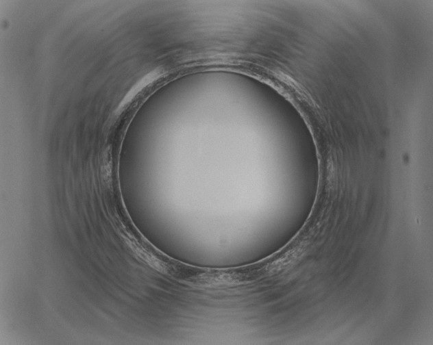 X0000067331450200604131649