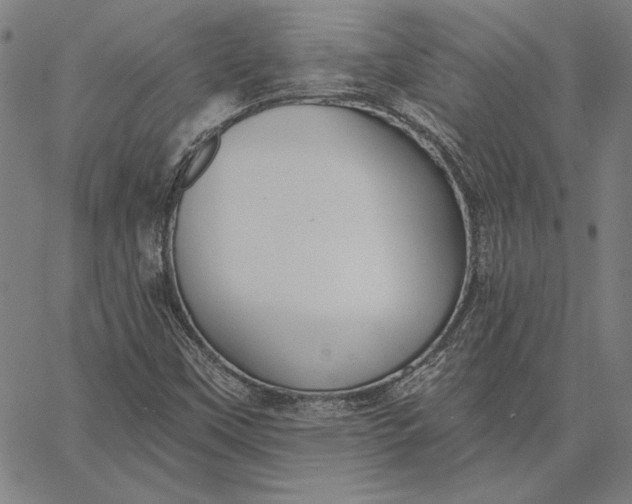 X0000067331451200604131649