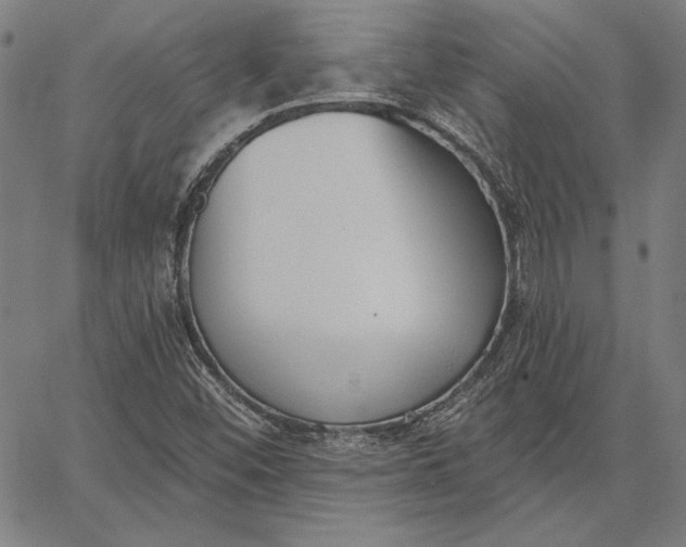 X0000067331452200604131649