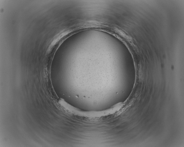 X0000067331453200604131649