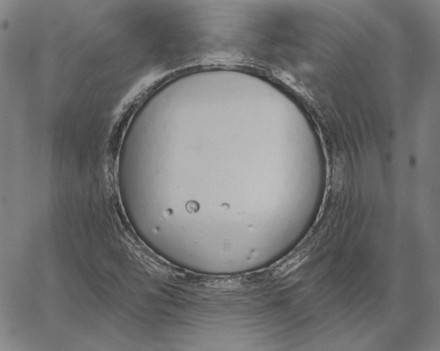 X0000067331454200604131648