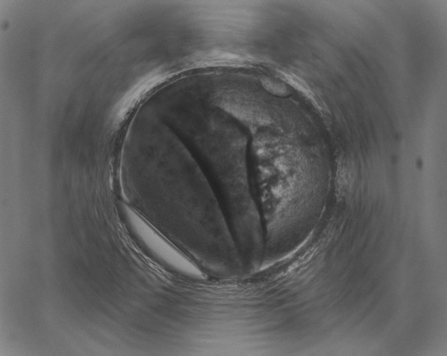 X0000067331455200604131648