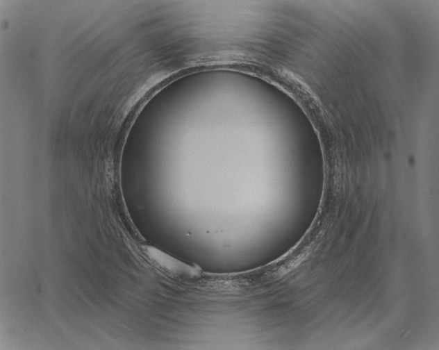 X0000067331457200604131648