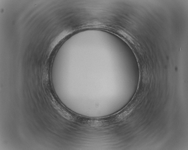 X0000067331458200604131648